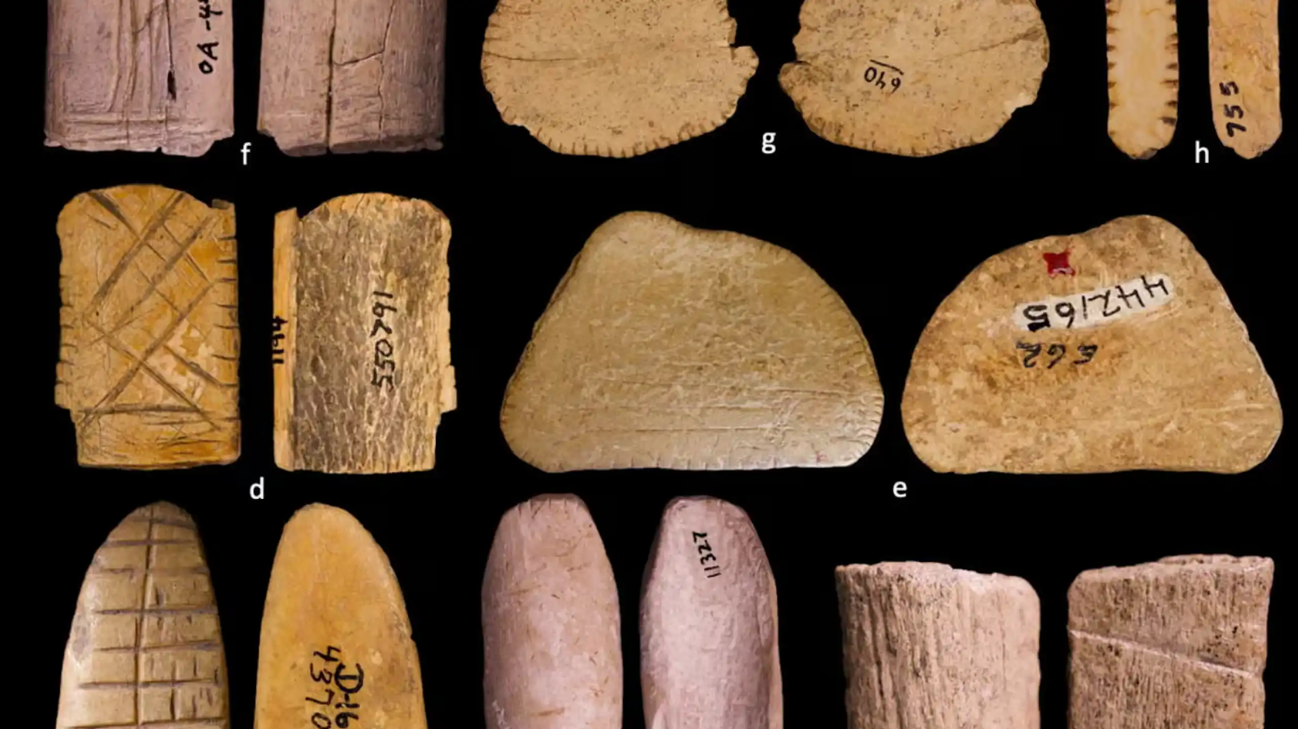 A collection of wood and bone dice