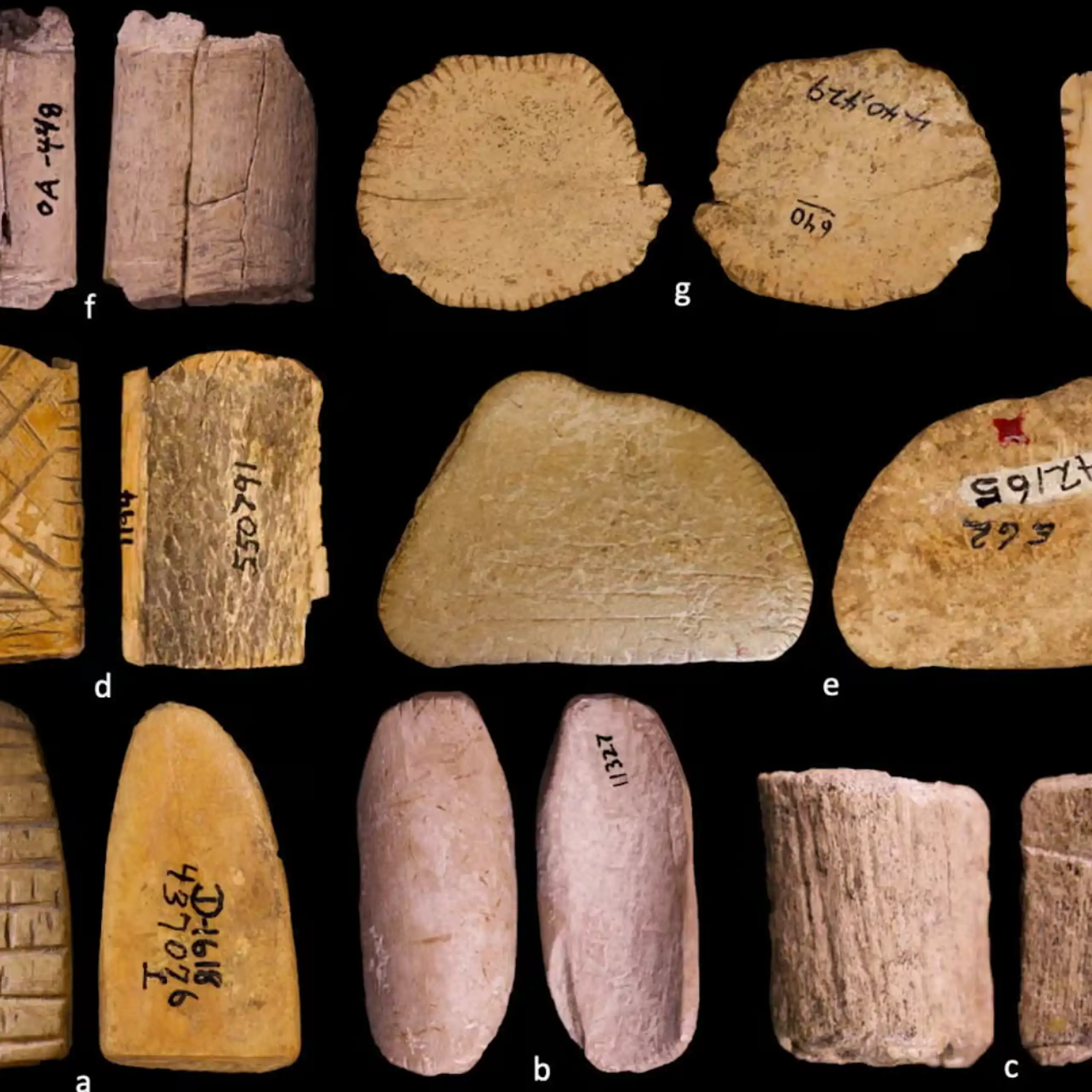 A collection of wood and bone dice