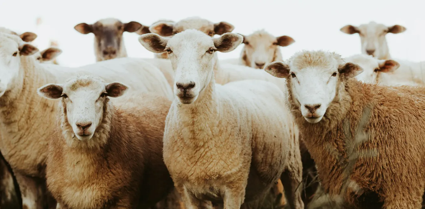 Is Your AI Chatbot Influencing You? Subtly Shaping Your Views? Is Your AI Chatbot Influencing You? Subtly Shaping Your Views?