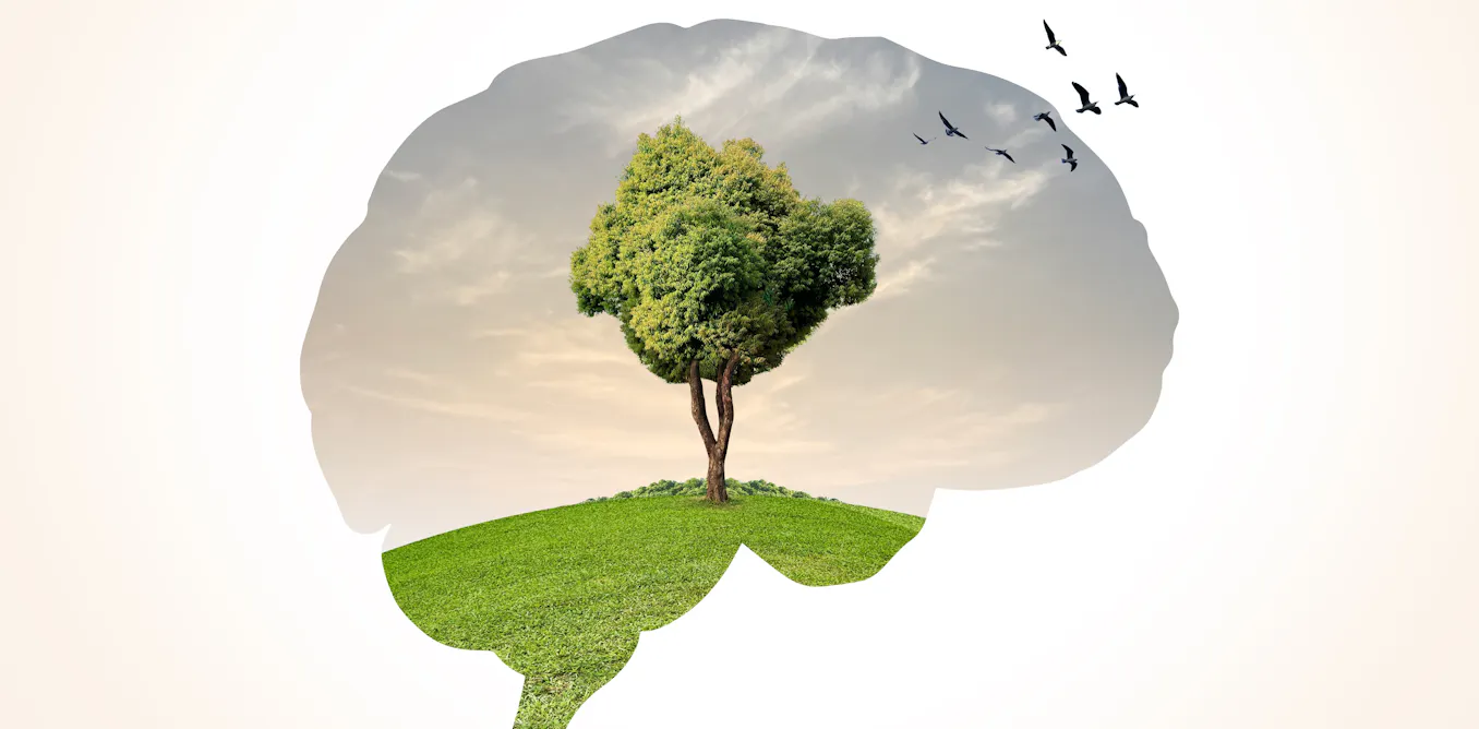 Can plants hear? Latest research offers new insights Can plants hear? Latest research offers new insights