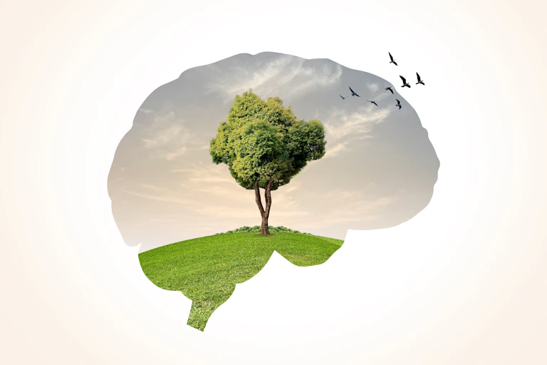 Concept image of brain outline and tree growing in field with birds flying away