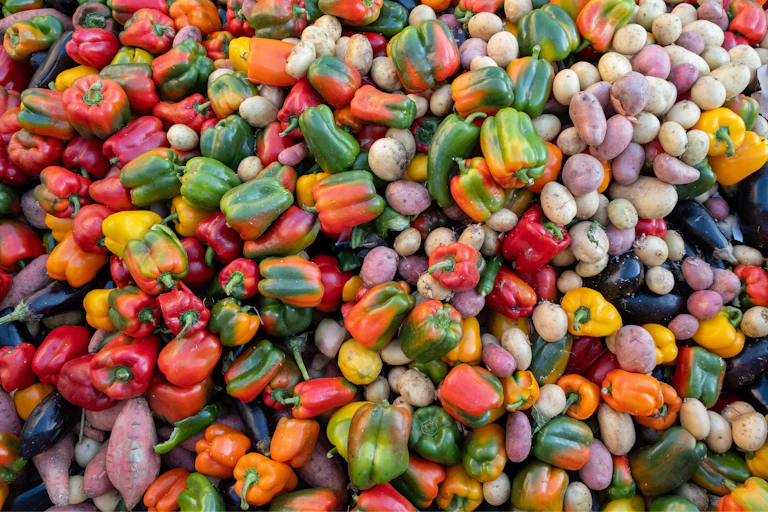 colourful pile of peppers and other vegetables