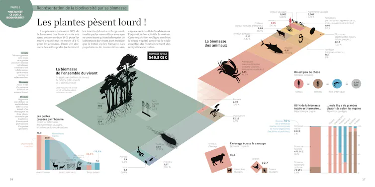 Double page issue de l’ouvrage La Biodiversité en infographies aux Editions Tana