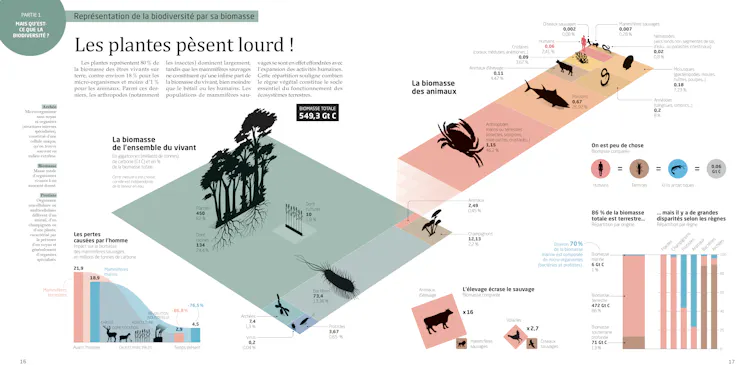 Double page issue de l’ouvrage La Biodiversité en infographies aux Editions Tana