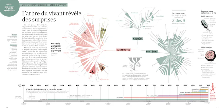 Double page issue de l’ouvrage La Biodiversité en infographies aux Editions Tana