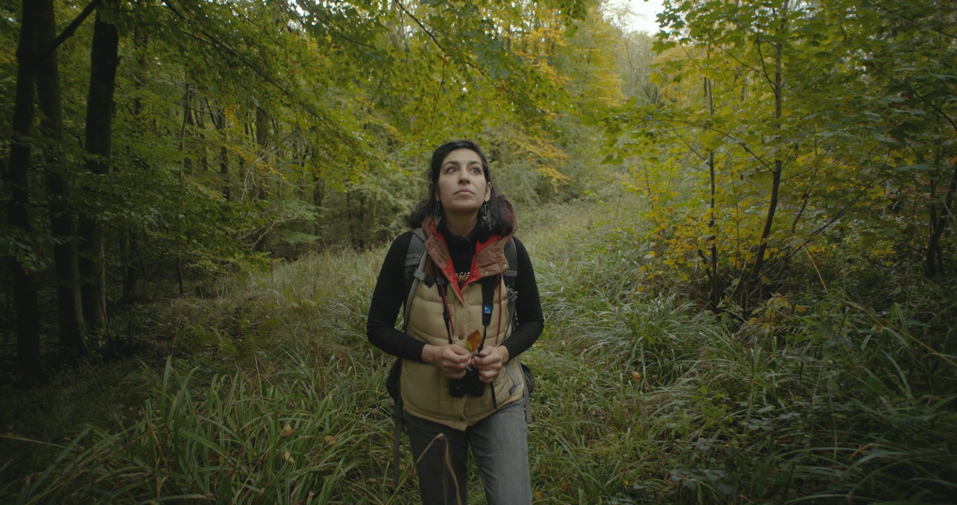 Our Land: who owns the countryside? New documentary explores the access divide in England and Wales