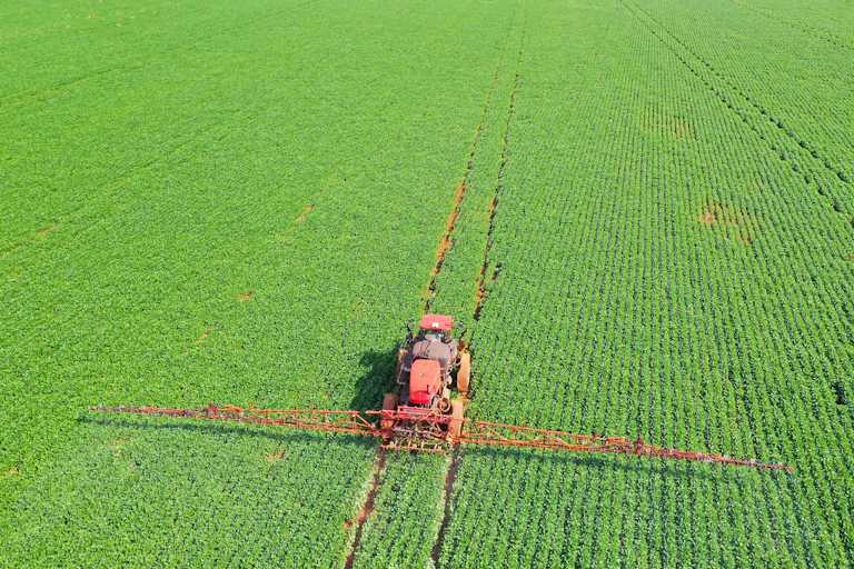 Pulvérisateur de pesticides par tracteur sur le champ de maïs au printemps.