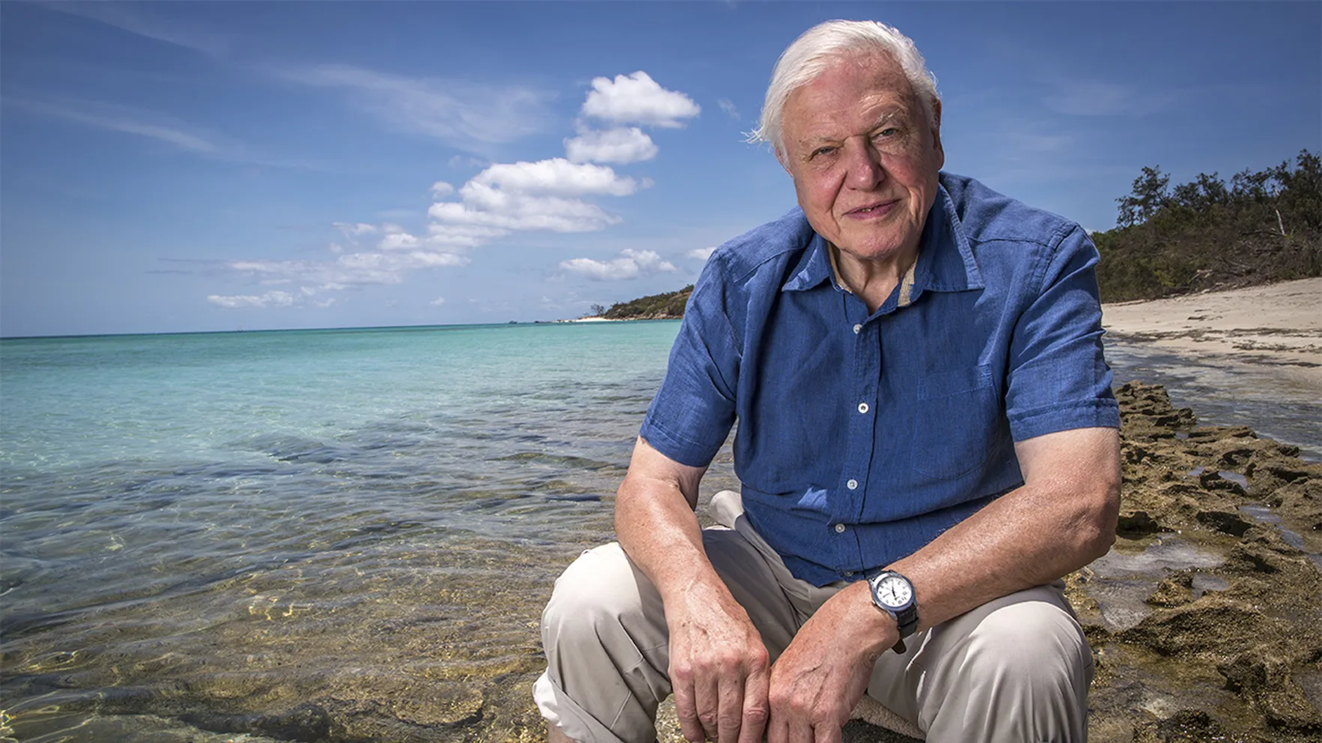 From fossicking for fossils to a champion for life on Earth: Sir David Attenborough at 100