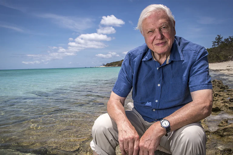man sitting on a rock next to a coral reef, trees and beach behind him.
