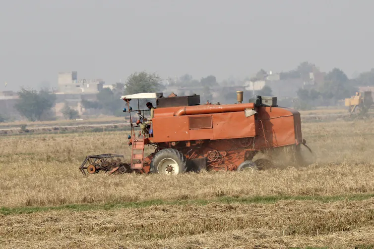 A farmer uses heavy machinery to harvest rice crops in a field on the outskirts of Lahore.