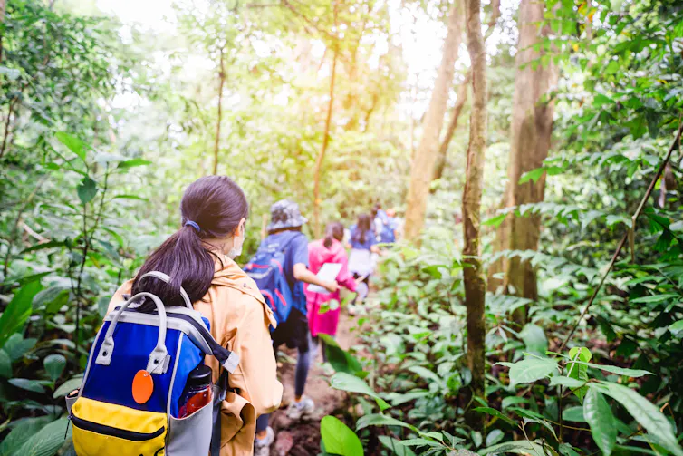 Children walking through woodland