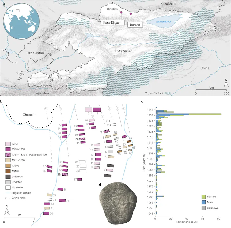Map of locations of the Kara-Djigach and Burana archaeological sites in Kyrgyzstan, a map of graves color-coded by age and presence of Y. pestis, a horizontal bar chart of grave numbers over time, and a tombstone with a pestilence-associated inscription