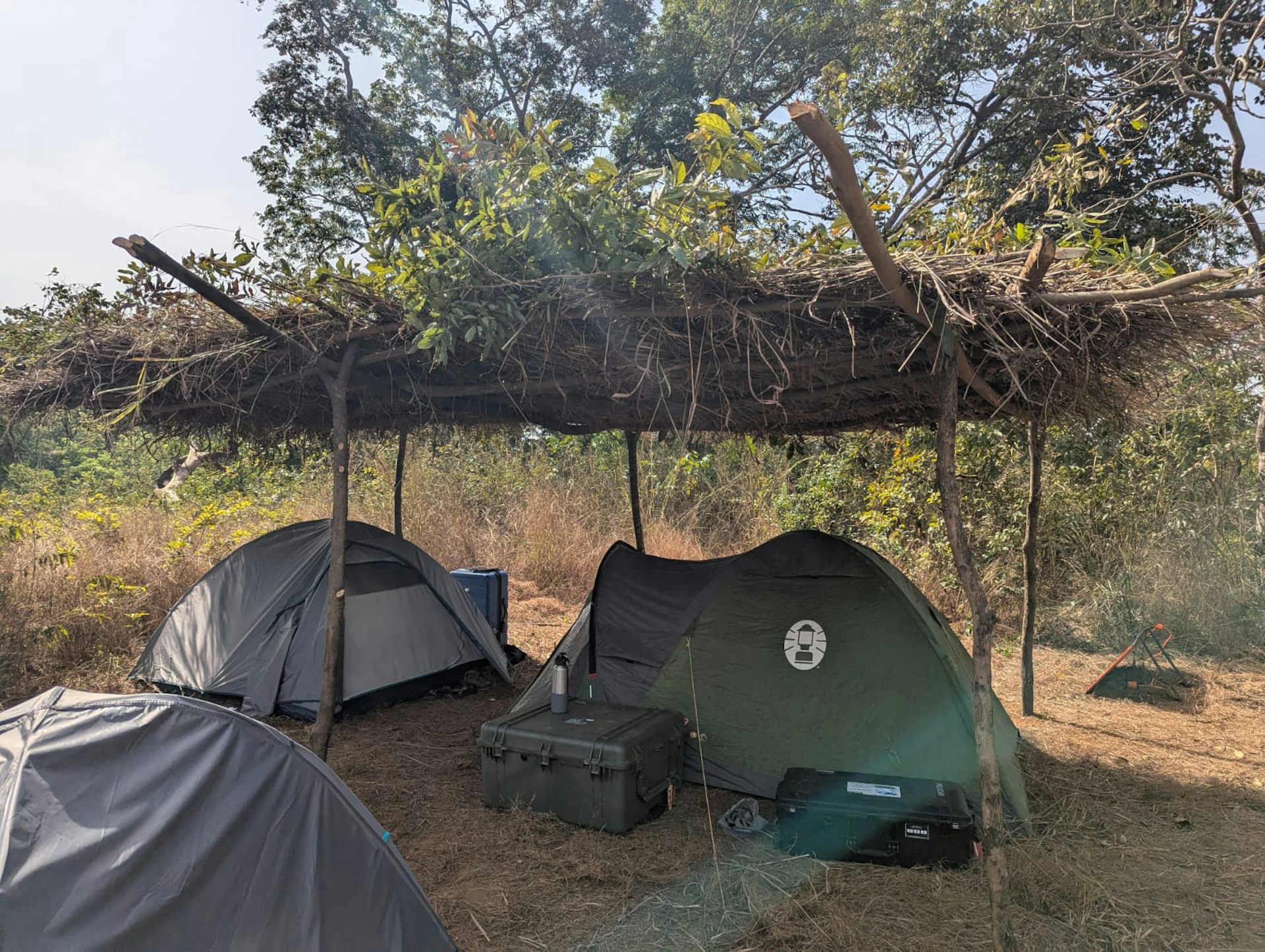 Three tents covered by a grass canopy