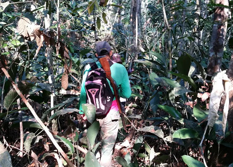 Surveying in the Amazon rainforest