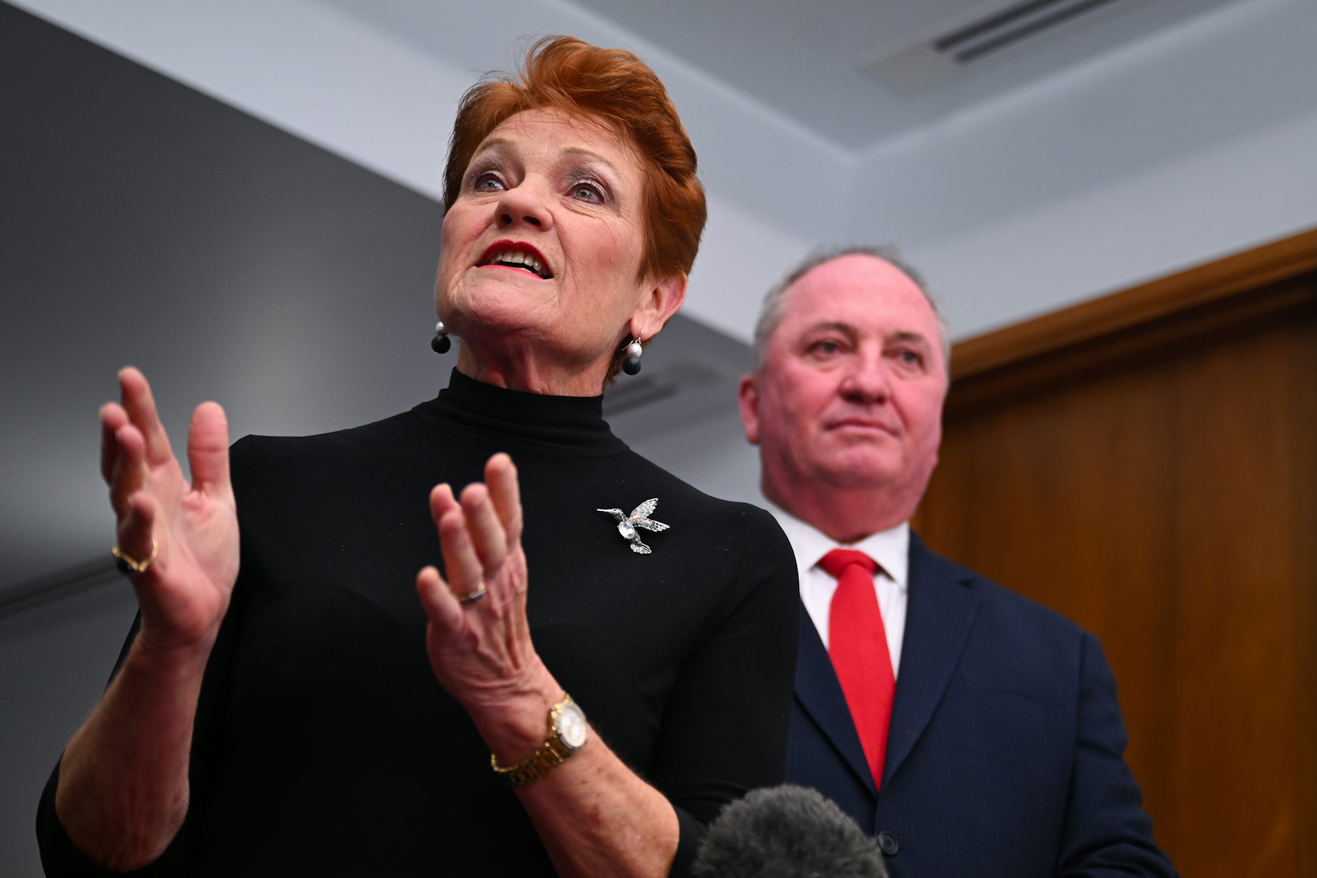 With wind in its sails, One Nation looks to replicate Farrer success in Victoria – and federally