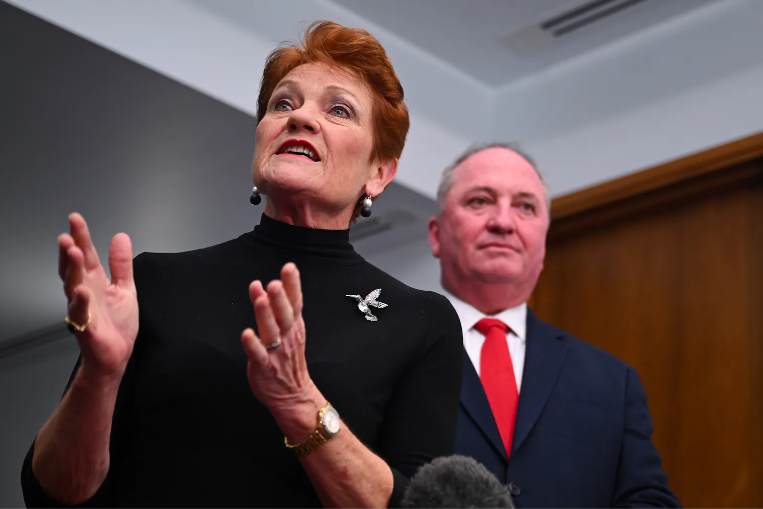 With wind in its sails, One Nation looks to replicate Farrer success in Victoria – and federally