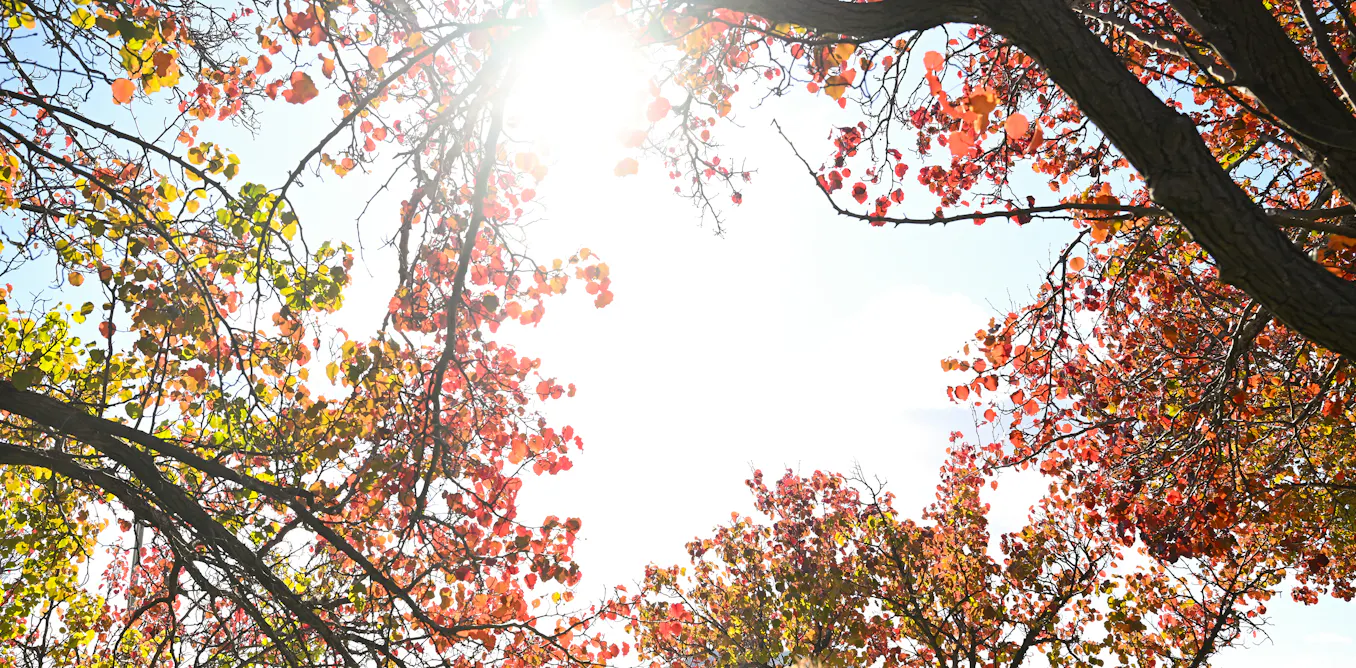 EduWireDaily — Why has this autumn been so hot and dry?
