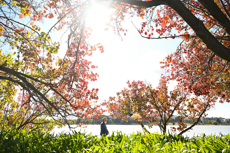 man walking along foreshore of a lake in late autumn.