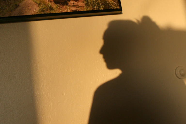 A young woman's silhouette is seen inside a house.