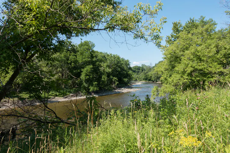 La nueva ley de agua y saneamiento de Ontario podría allanar el camino para la financiación pública del agua 2 Un río en un entorno bucólico.