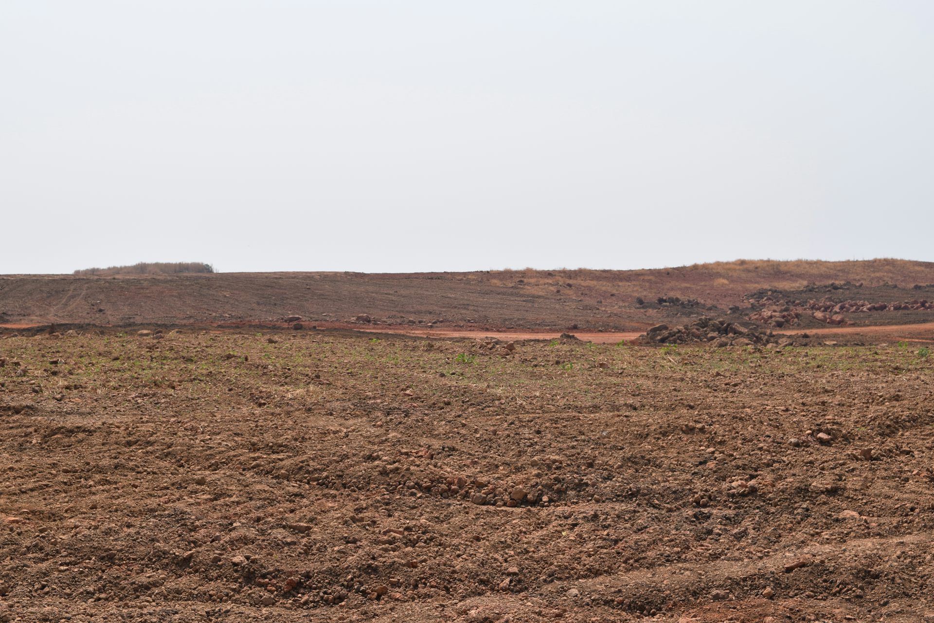 A bare savanna landscape