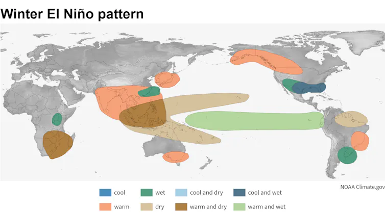 ¿Y 'súper El Niño?' Por qué es demasiado pronto para pronosticar con certeza, pero no demasiado temprano para prepararse 2 El mapa mundial muestra condiciones frías y húmedas en gran parte del sur de EE. UU. y más cálidas en el noroeste de Canadá y Alaska.