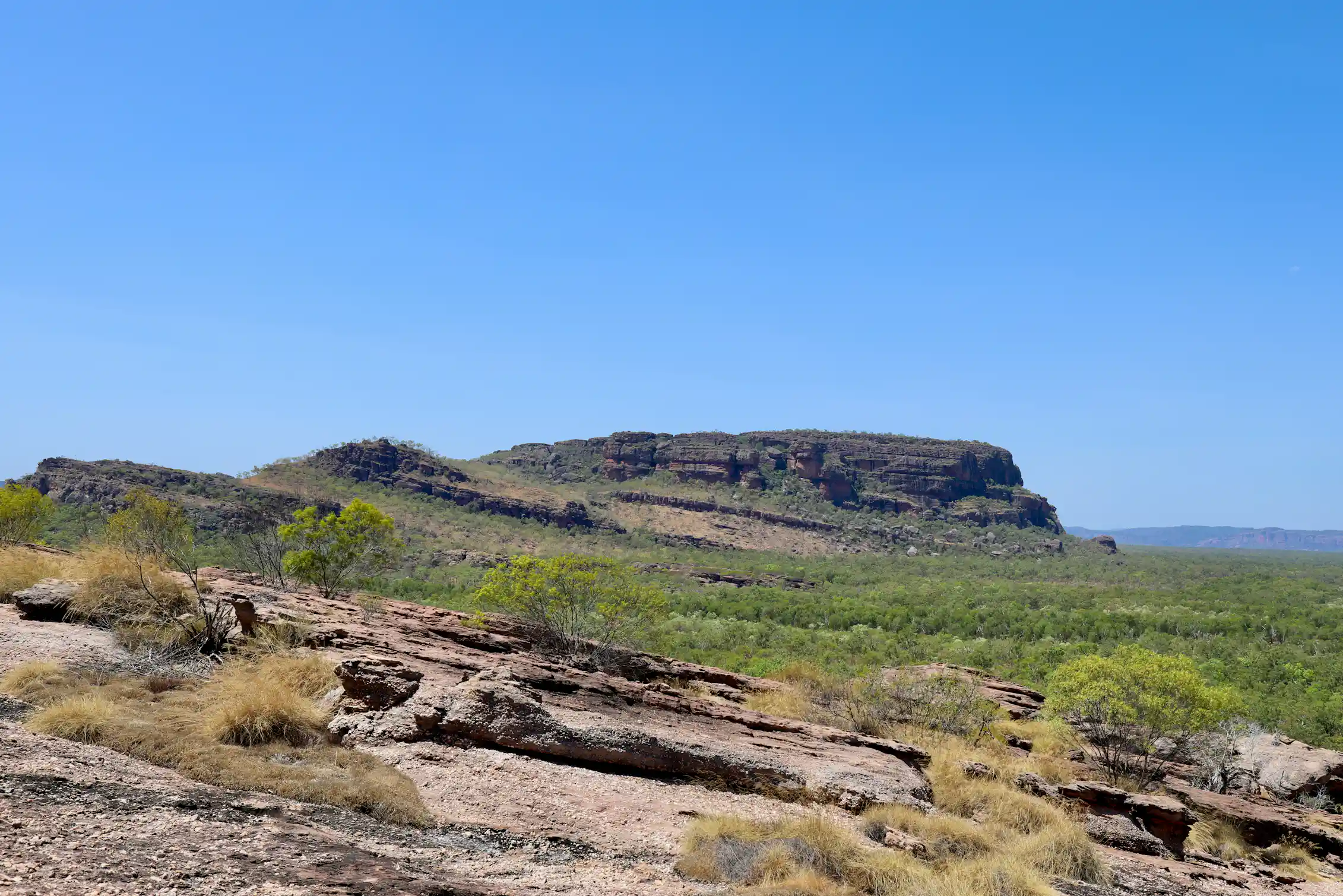 Large brown rocks rising from a grassy plain.
