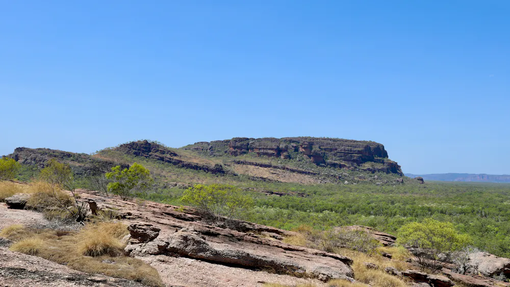 Rocks Kept in a Warehouse For Decades Held a Major Clue to Complex Life ...