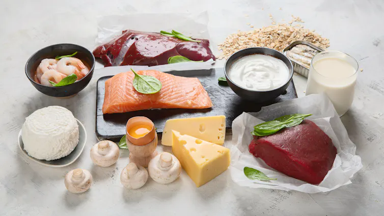 Seleção de laticínios, carnes e vegetais que contêm vitamina B12