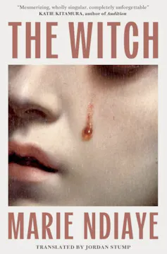 World Booker Prize 2026: heartbreak, brutality, shapeshifting – six professionals assessment the nominees 2 An image of a book cover for a novel called The Witch.