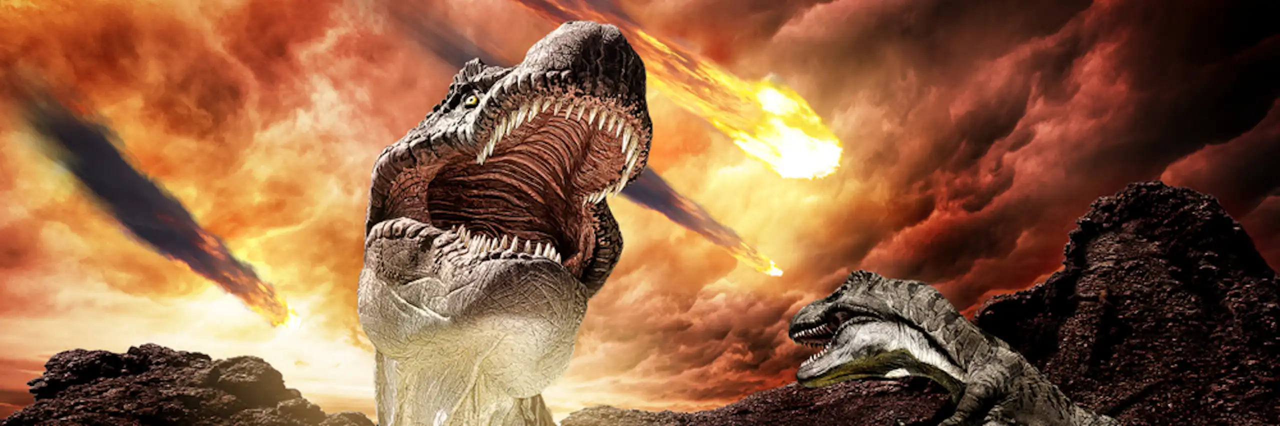 Des dinosaures avec une boule de feu en arrière-plan.