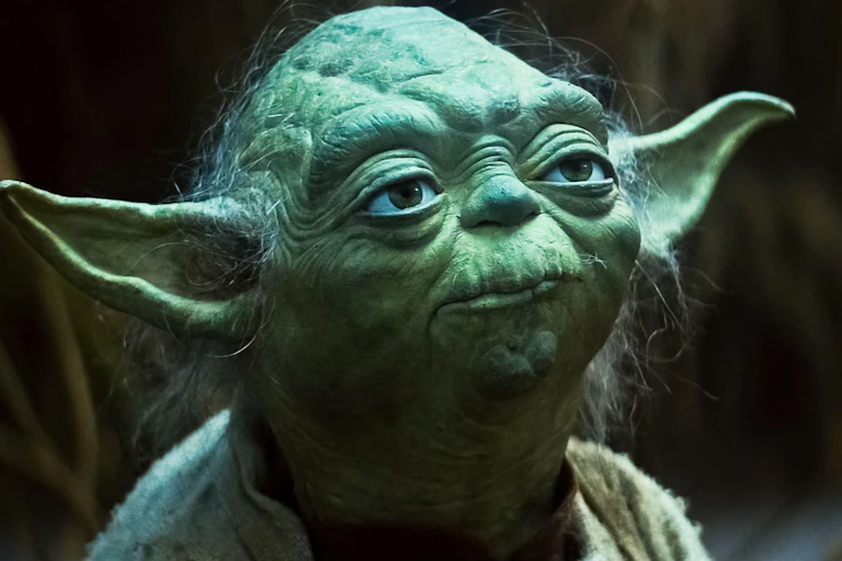 Yoda, a small alien creature with broad pointy ears at the side of his green head.