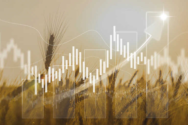 Field of wheat with rising price graphic overlay.