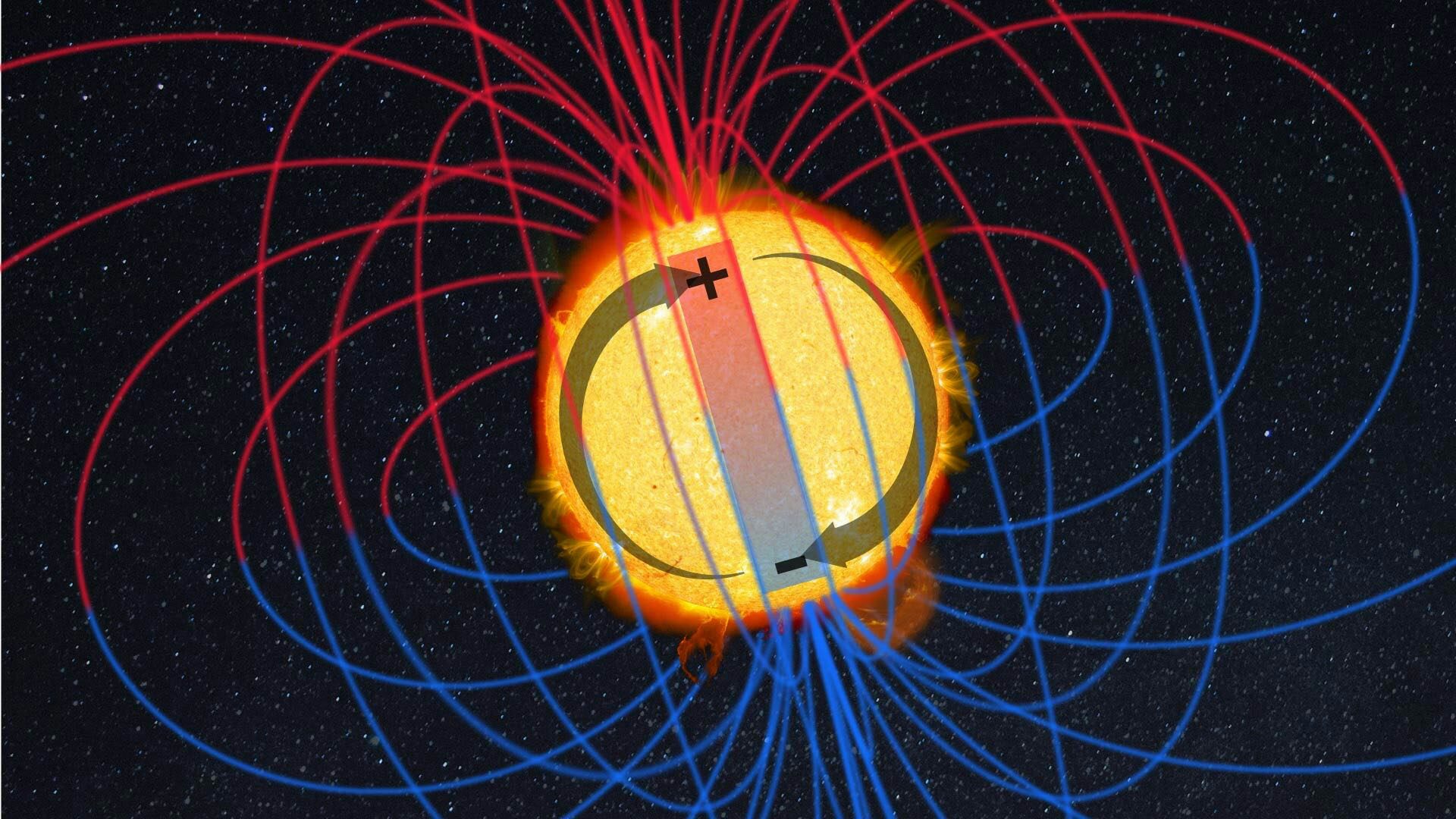 Diagrama que muestra el Sol con el polo superior marcado '+' y el polo inferior marcado '-'. Las líneas del campo magnético provienen de cada polo y se curvan verticalmente hacia abajo para llegar al otro polo.
