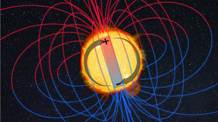 La actividad solar sigue un ciclo de 11 años: así controla las erupciones y las llamaradas solares 1 Diagrama que muestra el Sol con el polo superior marcado '+' y el polo inferior marcado '-'. Las líneas del campo magnético provienen de cada polo y se curvan verticalmente hacia abajo para llegar al otro polo.