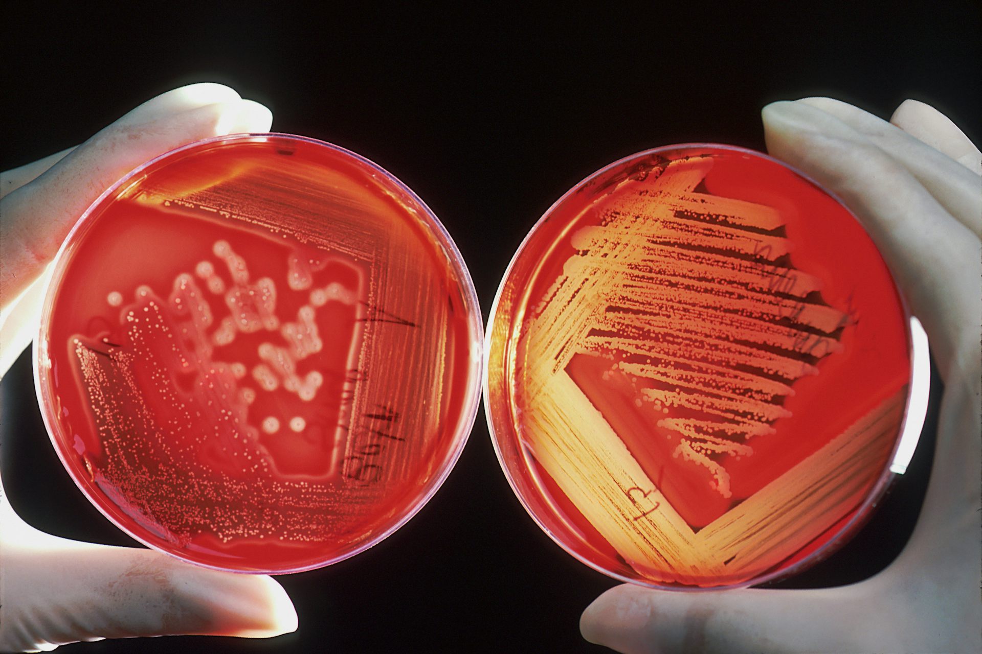 The federal budget will keep scientific research alive. But it’s unlikely to expand it