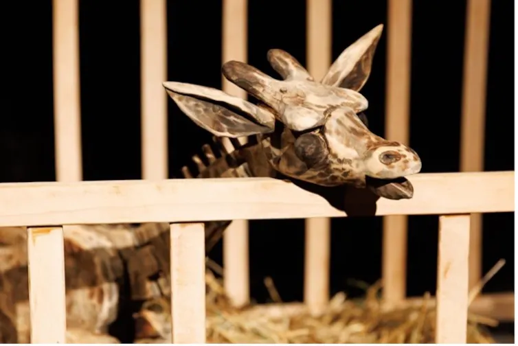 A giraffe puppet looking through the bars of a cage.