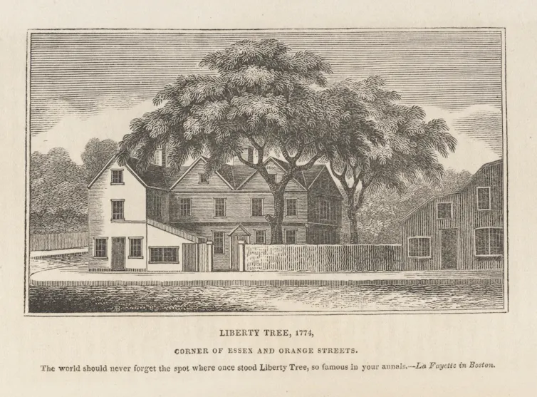 A black and white illustration of an enormous, leafy tree that towers over the white house next to it.