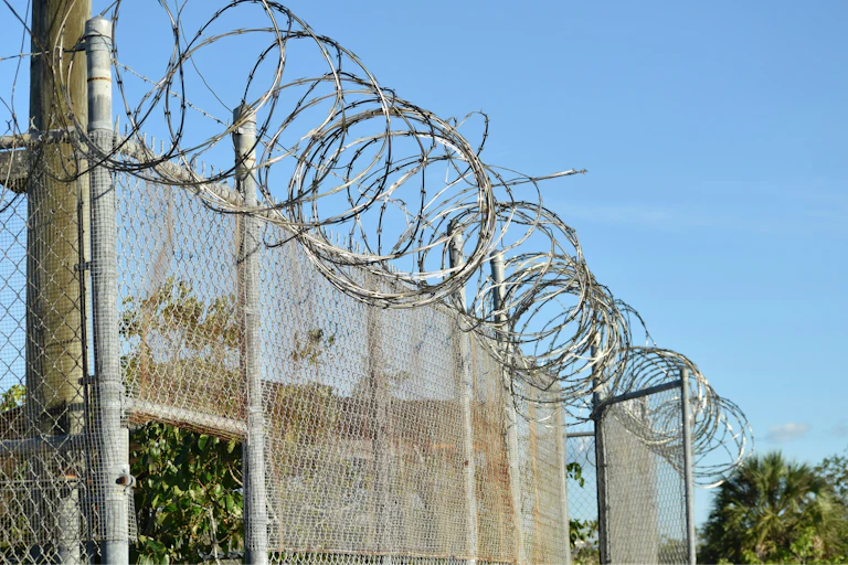 A wire prison fence is seen with barbed wire on top.