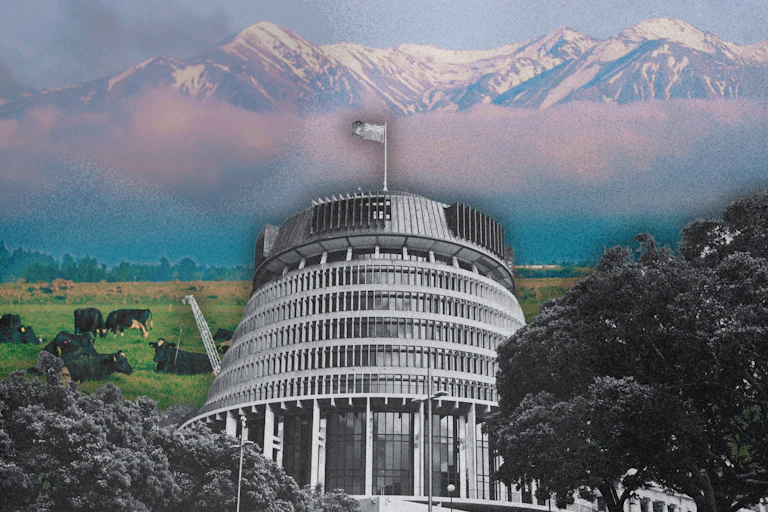 A composite image showing New Zealand's parliament building, mountains, cows