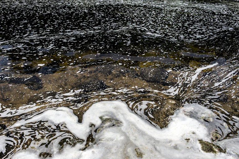 Swirling patterns of foam on the surface of water