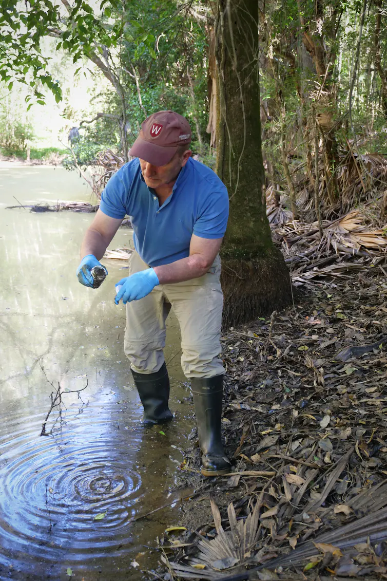 A man in a blue T-shirt collects water samples from a stream.