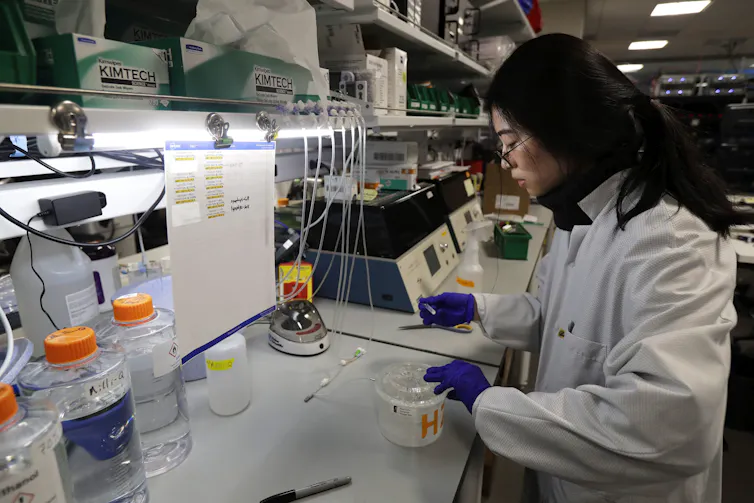 Por qué la salud cerebral es una prioridad urgente para los países del G7 2 Una científica trabaja en un laboratorio.