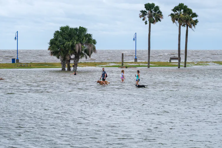 People and a dog walking through a flooded area.