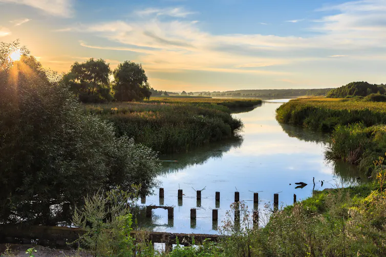 peaceful riverbank with green banks, sunset sky