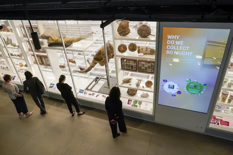 Cómo la enseñanza de la historia de la ciencia puede ayudar a preparar a los estudiantes para afrontar tiempos polarizados 2 La gente pasa junto a una vitrina de museo que explica por qué coleccionamos tanto.
