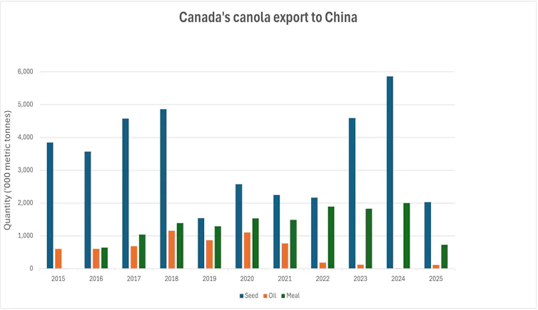 A graph showing that Canadian canola exports to China remained relatively stable until 2019. They pick up again in 2023.