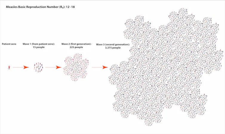 An illustration showing spread of measles from an individual to large number of affected people