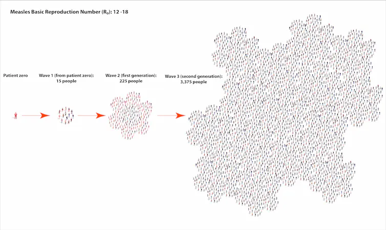 An illustration showing spread of measles from an individual to large number of affected people