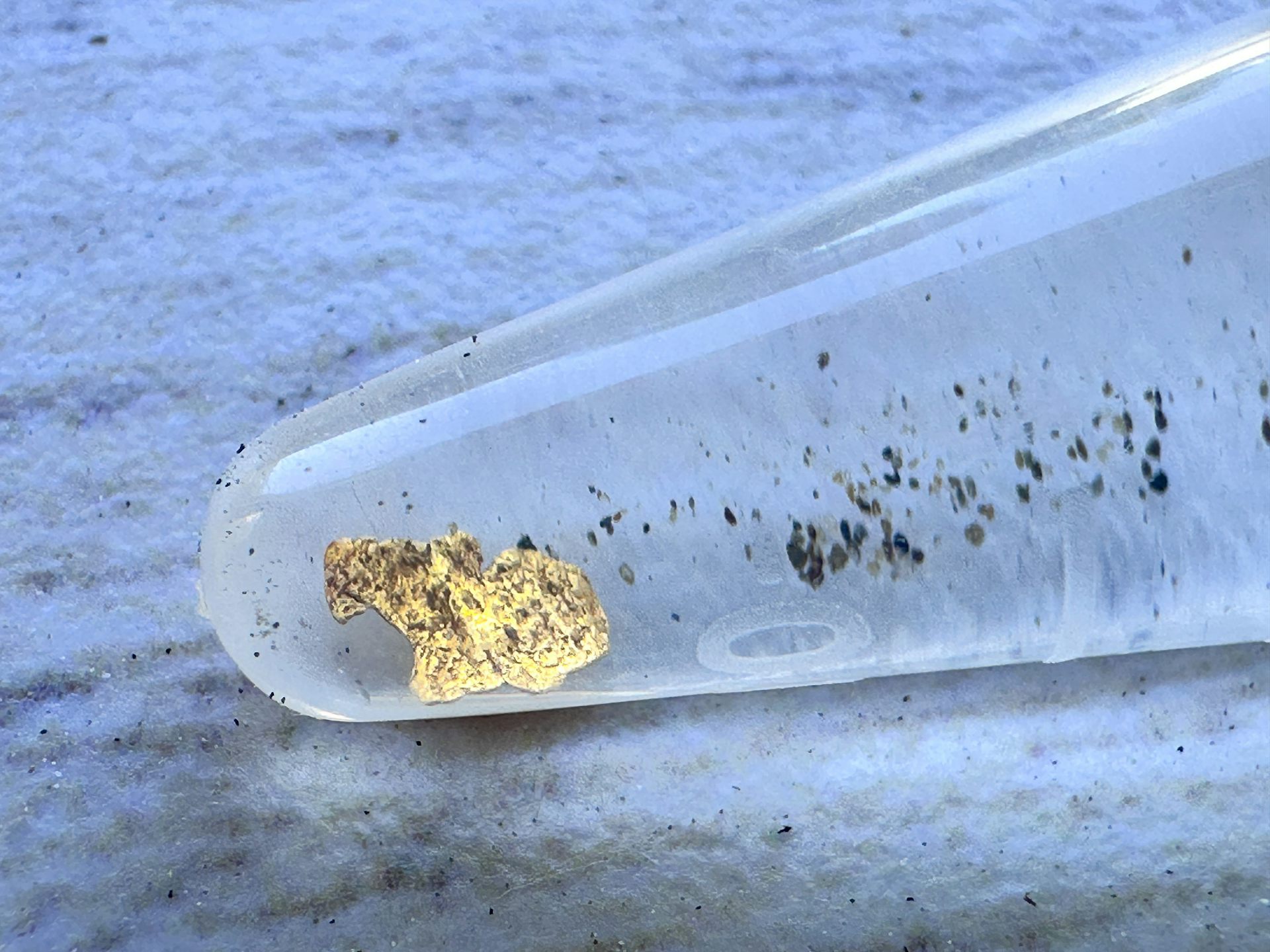Partícula de oro procedente de los materiales sedimentarios de la mina de oro romana de Las Médulas.